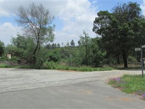 973 m² Land available in Ohenimuri