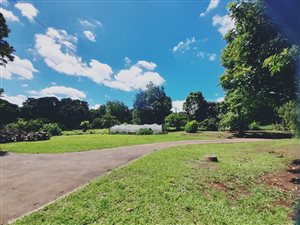 1 ha Farm in Claridge