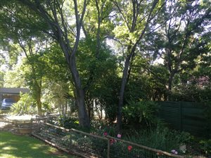 718 m² Land available in Lynnwood Glen