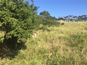 2092 m² Land available in Sezela