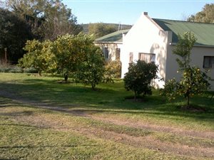 6 ha Smallholding in Joubertina