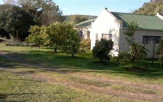 6 ha Smallholding in Joubertina