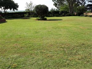 2.6 ha Farm in Beckedan
