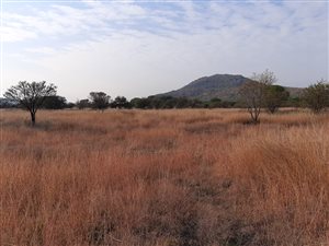 4.2 ha Land available in Onderstepoort