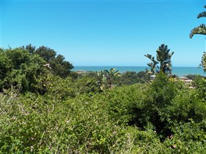 1100 m² Land available in Zinkwazi Beach