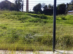 1634 m² Land available in Eureka