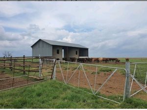 978 ha Farm in Bultfontein