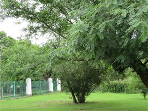 501 m² Land available in Bedford