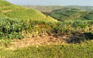 624 m² Land available in Sezela