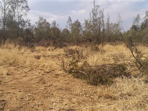 1189 m² Land available in Ohenimuri