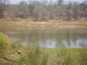 36 ha Farm in Tzaneen