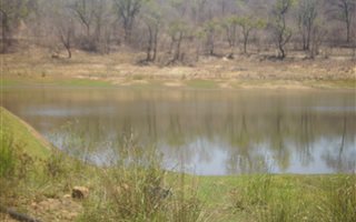 36 ha Farm in Tzaneen