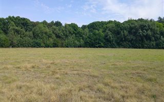 40 ha Farm in Irene