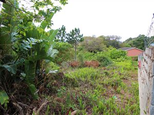 1340 m² Land available in Palm Beach