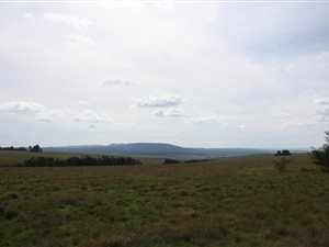 210 ha Farm in Waterval Boven