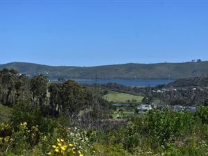3097 m² Land available in Eastford Ridge