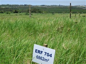 6862 m² Land available in Sheffield Beach