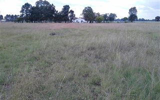 2 ha Farmland in Rusticana
