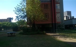 2 Bedroom Apartment in Sunnyside