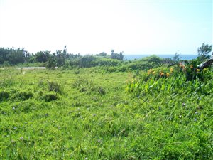 1605 m² Land available in Palm Beach