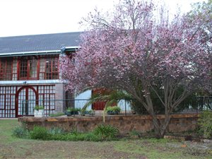 4 Bed House in Balmoral