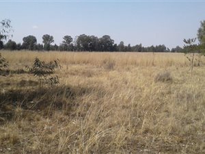 2.8 ha Land available in Nelsonia