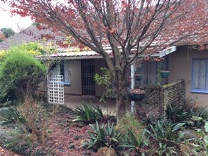 3 Bed House in Howick