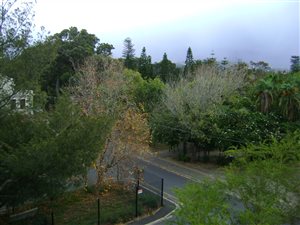 1 Bed Apartment in Wynberg