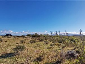 300 m² Land available in Gondwana Game Reserve