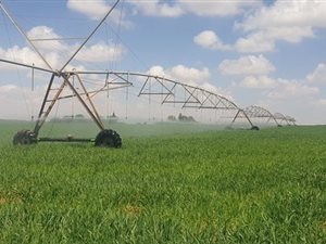 78.6 ha Farm in Wesselsbron
