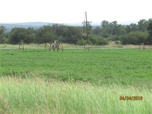 180 ha Farm in Swartruggens
