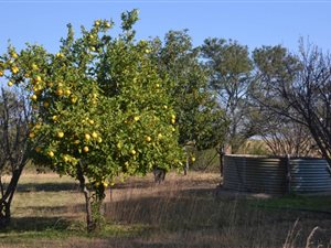 Smallholding in Lydenburg