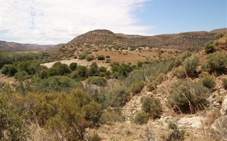 1253 ha Farm in Lady Grey