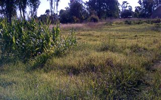 2033 m² Land available in Mooi River