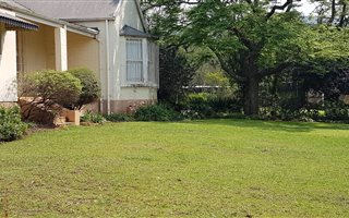 3 Bedroom House in Greytown