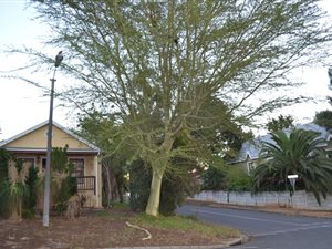 2 Bed House in Wellington North