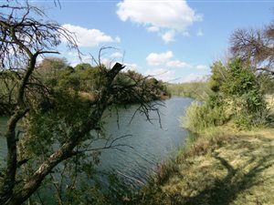 1.2 ha Farm in Faerie Glen
