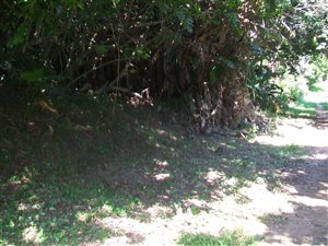 1630 m² Land available in Palm Beach