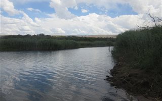300 ha Farm in Buffelspoort