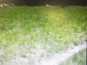 588 m² Land available in Esikhawini
