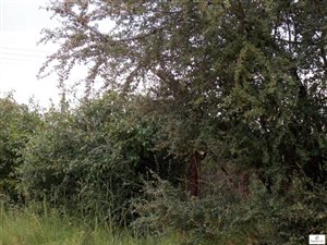 743 m² Land available in Fouriesburg