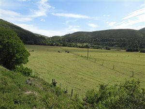 30.5 ha Farm in Knysna Central