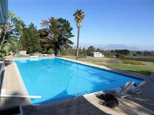 24.6 ha Farm in Morningstar