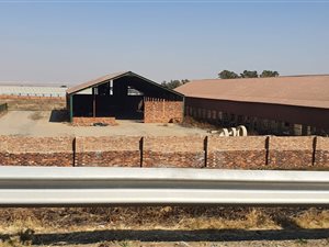 Farm in Rand Collieries
