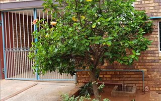 3 Bedroom Duplex in Mountain View