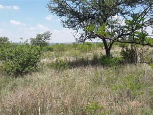 4 ha Farm in Boschkop