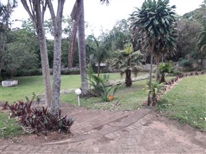 1200 m² Commercial space in Glenmore