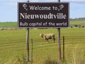 1518 m² Land available in Nieuwoudtville