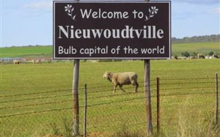 1518 m² Land available in Nieuwoudtville