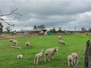 8 ha Farm in Gedults River